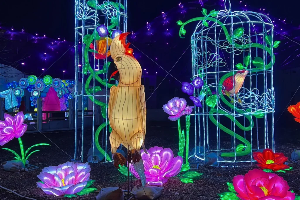 Spring Lantern Magic