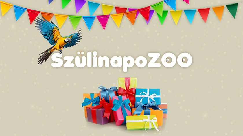 SzülinapoZOO - Ünnepelje gyermeke születésnapját az Állatkertben!