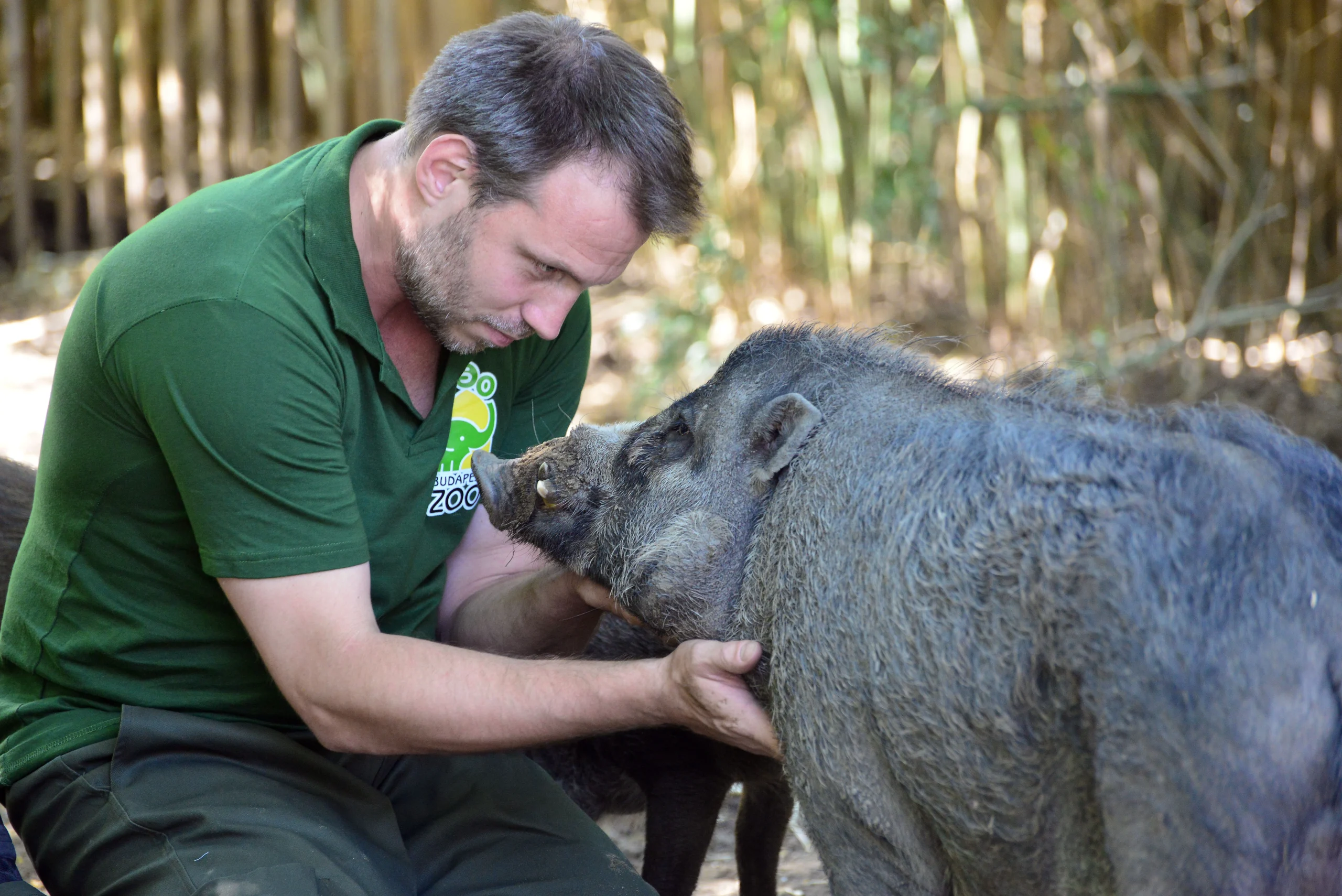 World Day of zookeepers