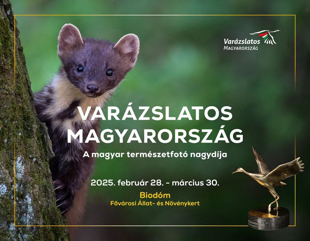 Varázslatos Magyarország 2025