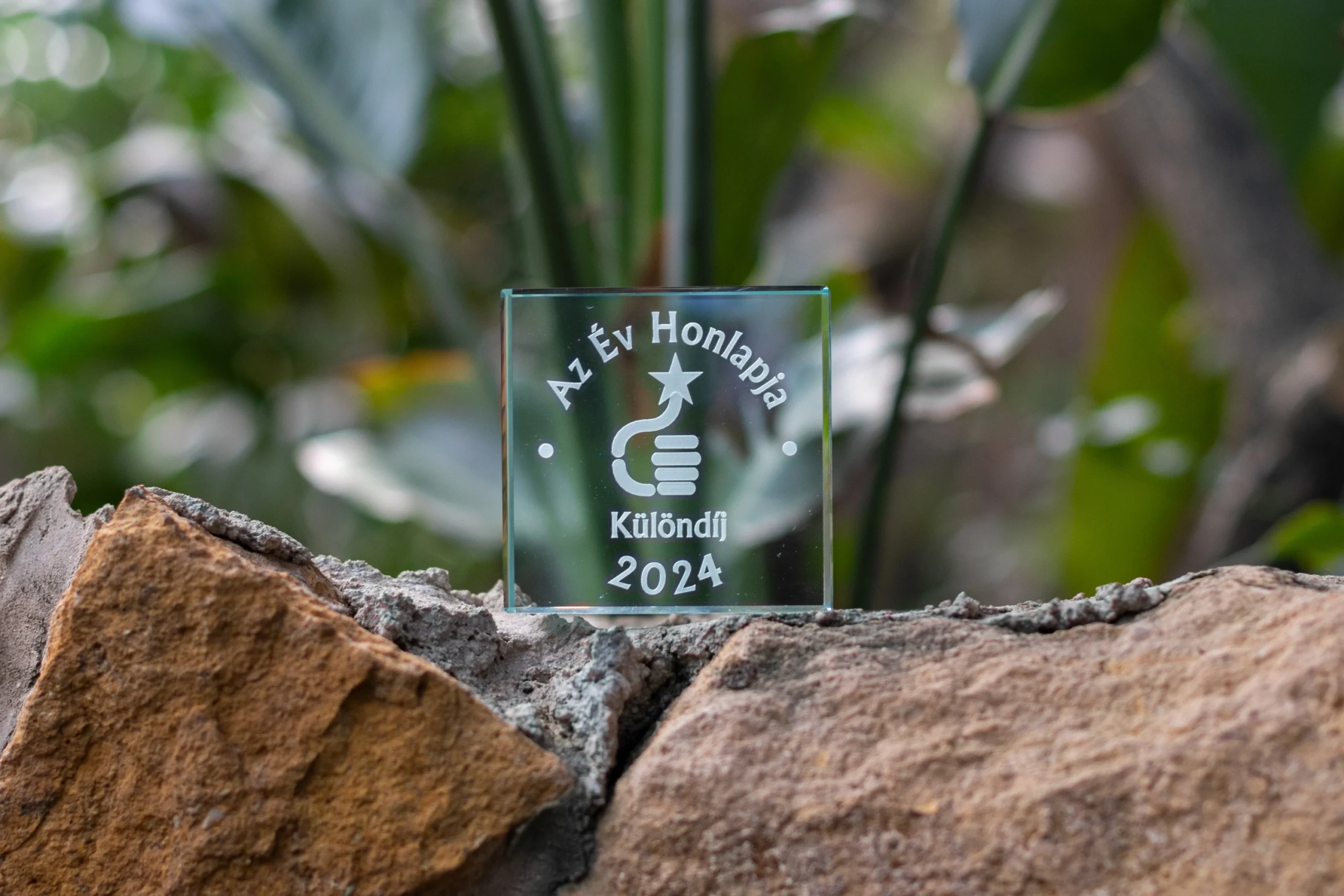 Website of the Year Award