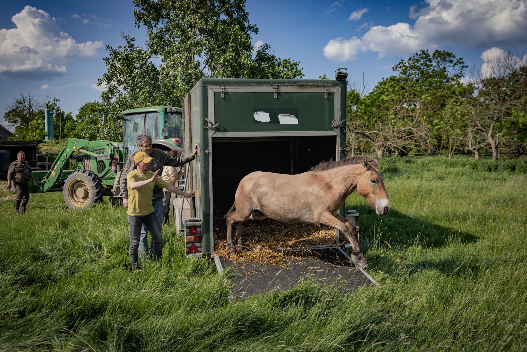 We’re Helping to Reintroduce Wild Horses from Hortobágy to Kazakhstan
