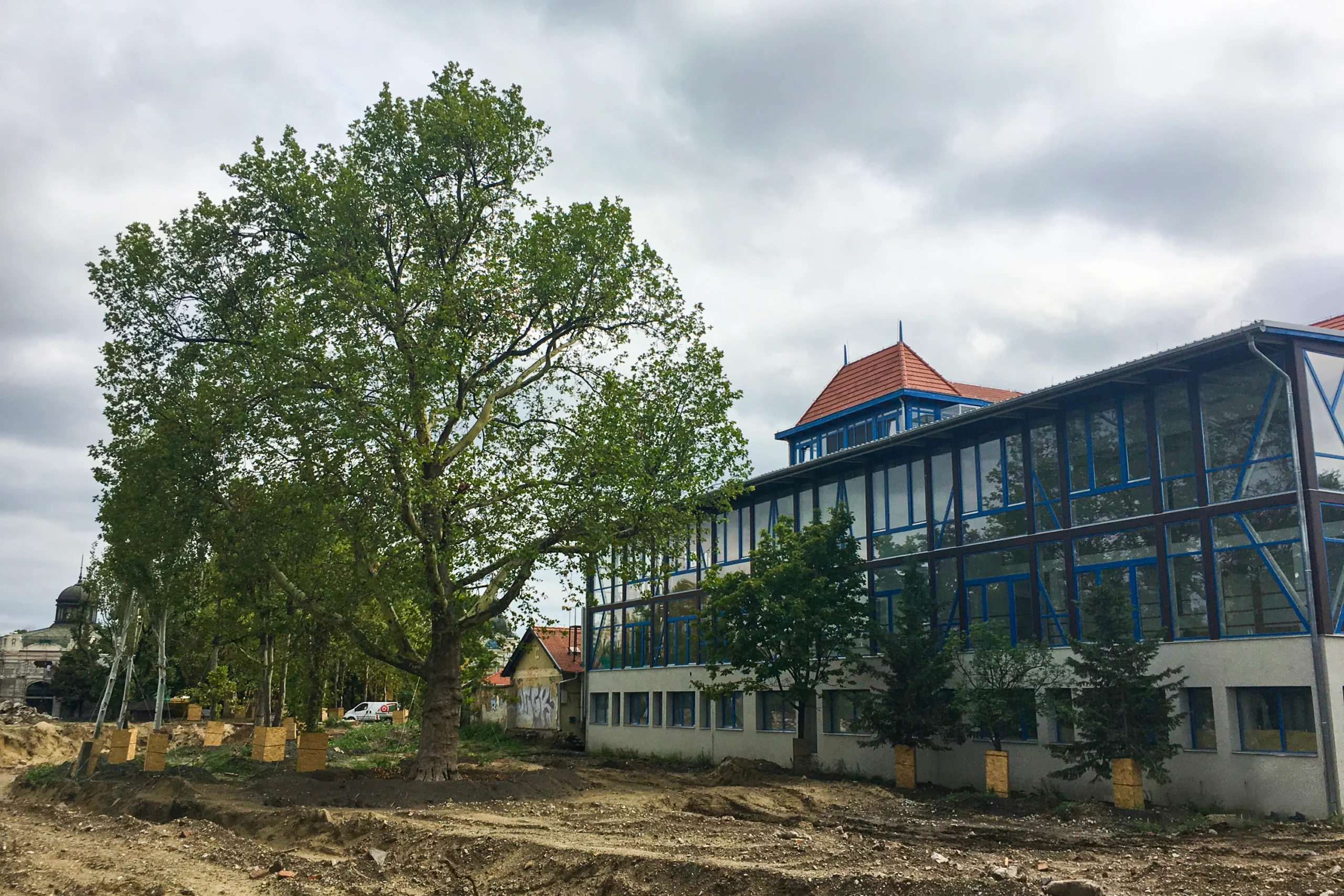 We relocated “Big Döbrögi” eight years ago