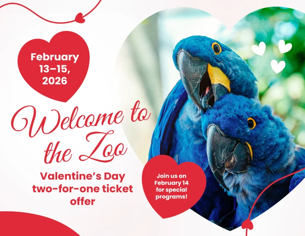 Valentine’s Day two-for-one ticket offer